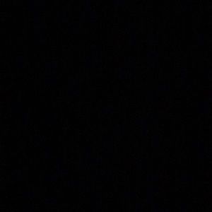 Meet your Posher, Sammi